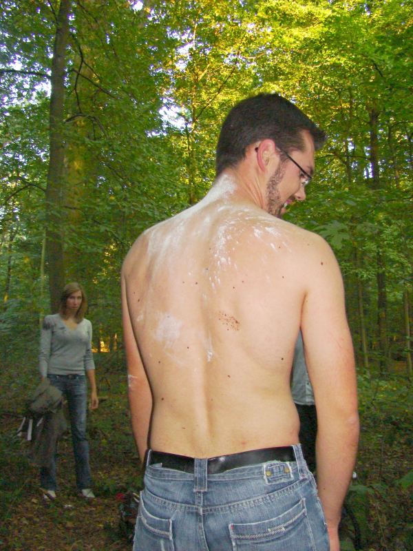 L'image ne s'affiche pas: contacter moi par mail pour rem�dier au plus vite � ce probl�me